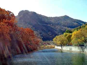 管家婆黑白马报图库，干粉压片机